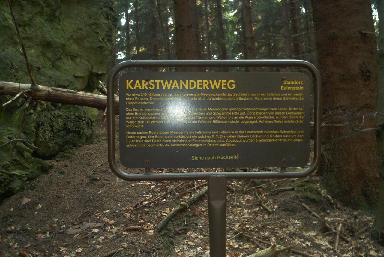 Ferienwohnungen Stricker Harz Walkenried Екстер'єр фото
